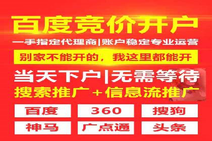 汽车行业SEM服务营销策略及效果展示